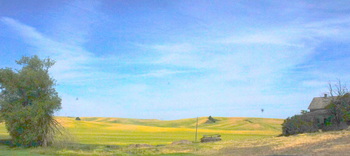 Palouse farmland.JPG